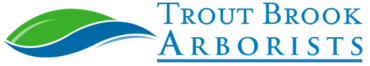 Trout Brook Arborists