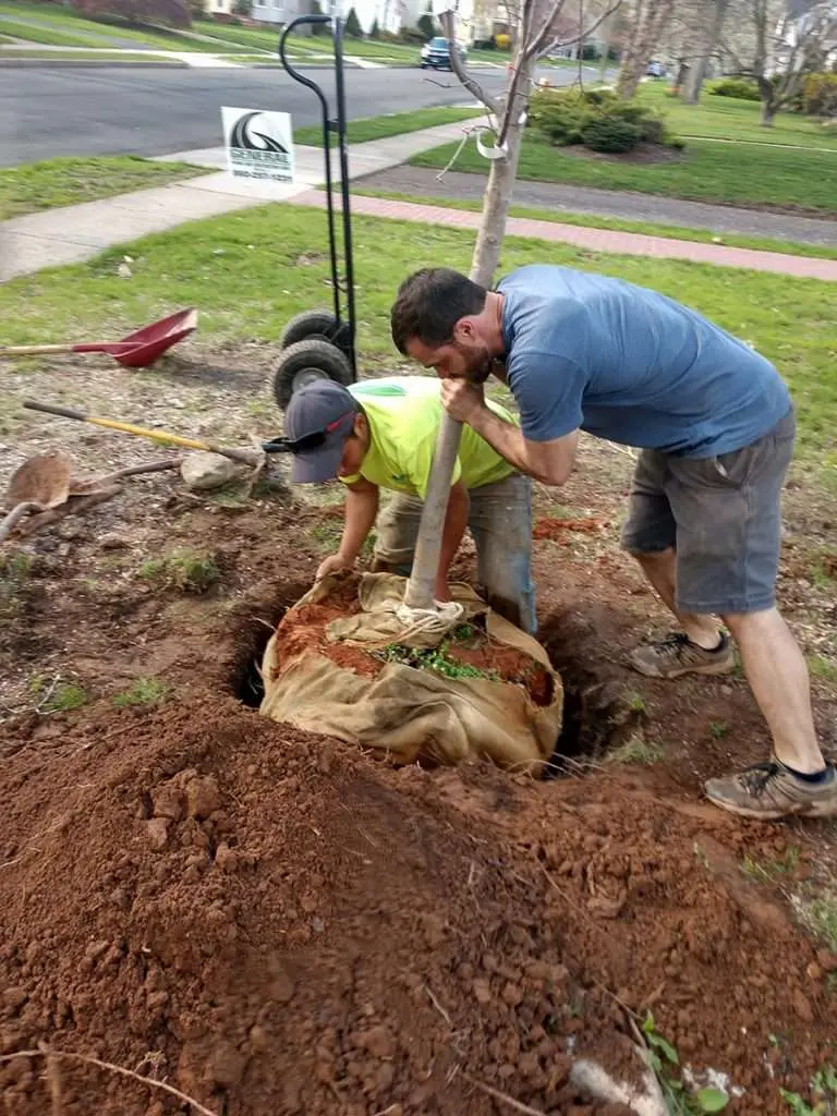 Trout Brook Arborist - Landscaping & Tree Services The Best Tree Services in West Hartford CT - Certified Arborists & Landscaping