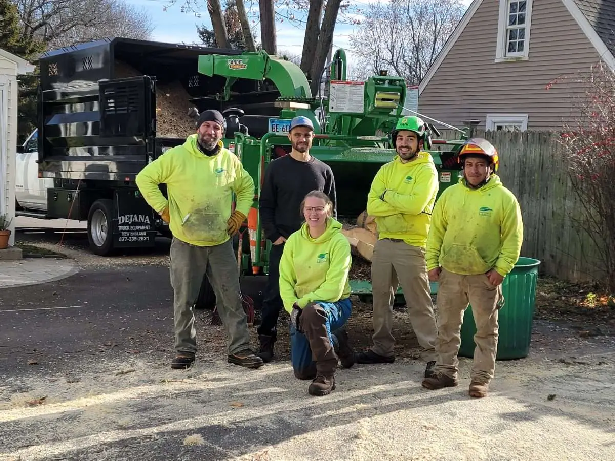 Frequently Asked Questions About Gutter Cleaning