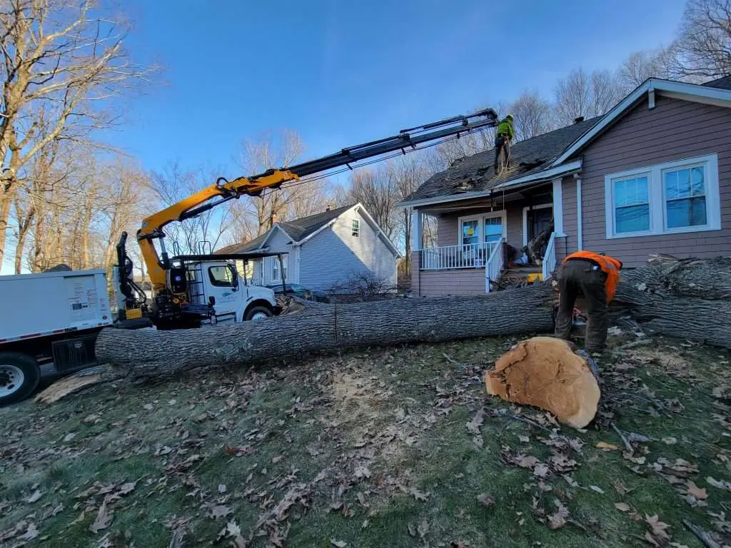 FAQ on Yard & Garden Clean Up Service: What You Need To Know