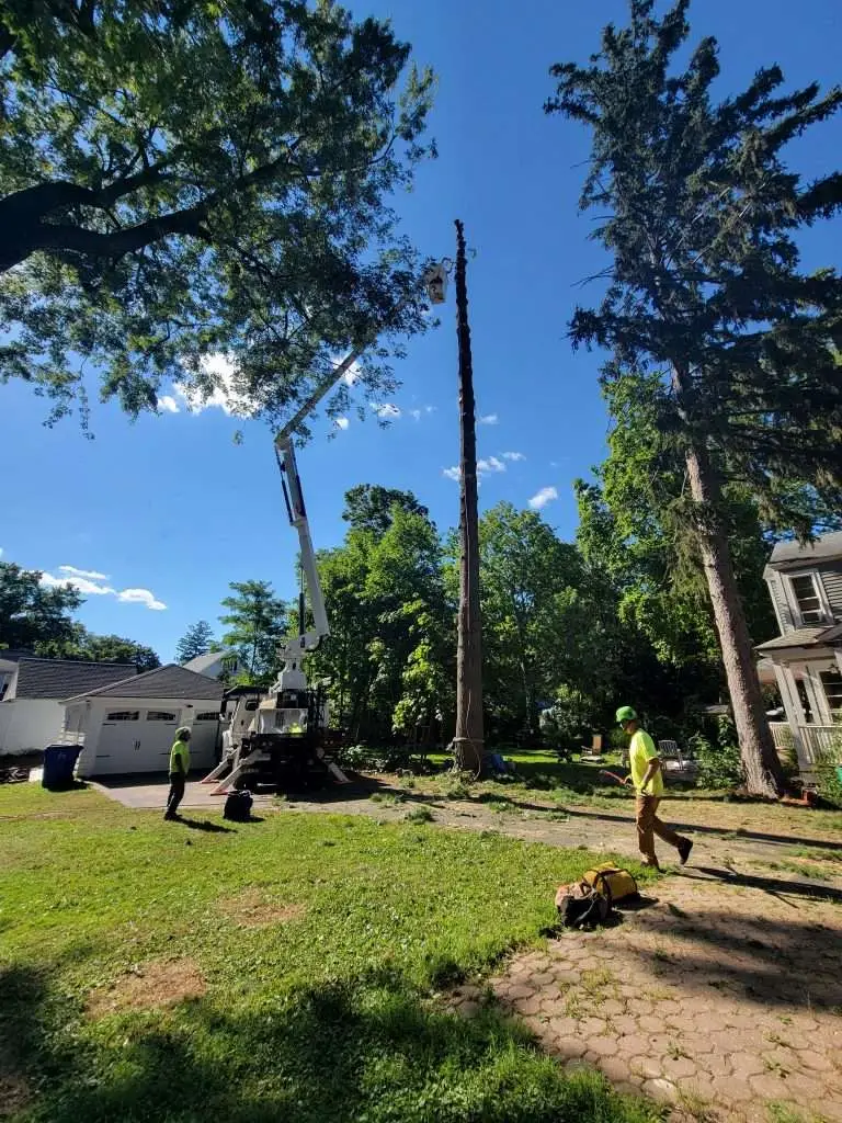 Landscape Installation Service FAQ: Common Q&A