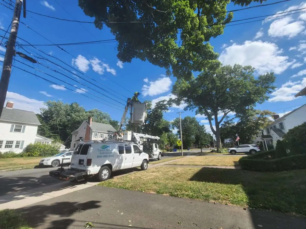 Frequently Asked Questions About Gutter Cleaning