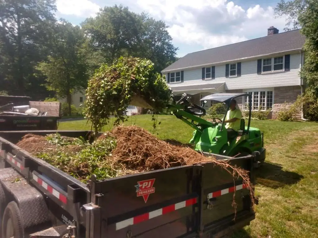 Frequently Asked Questions About Tree Planting