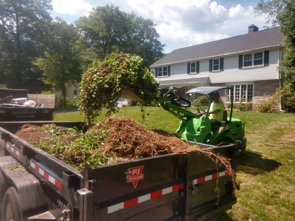 10 Questions About Trees That Can Save You Money in 2024 2 Frequently Asked Questions About Tree Planting