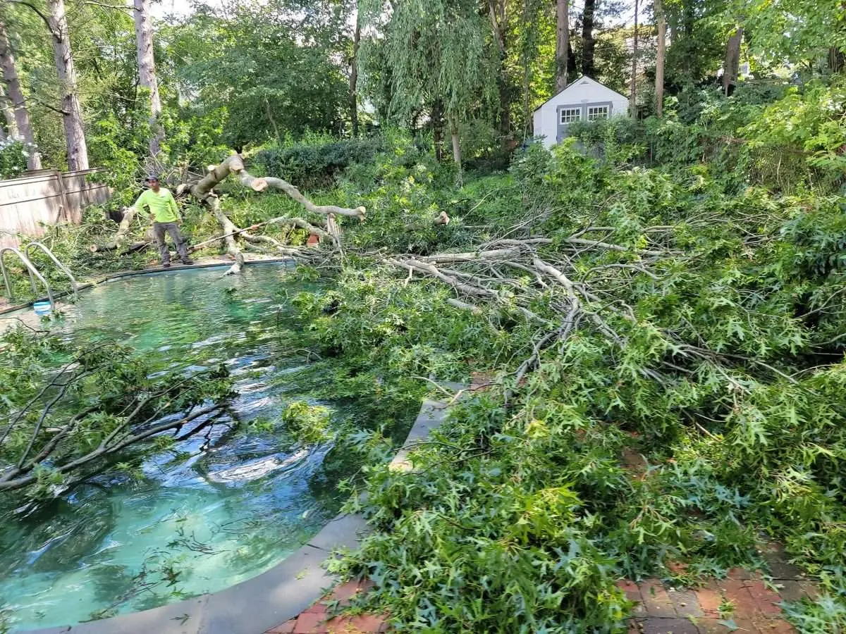 Frequently Asked Questions About Gutter Cleaning