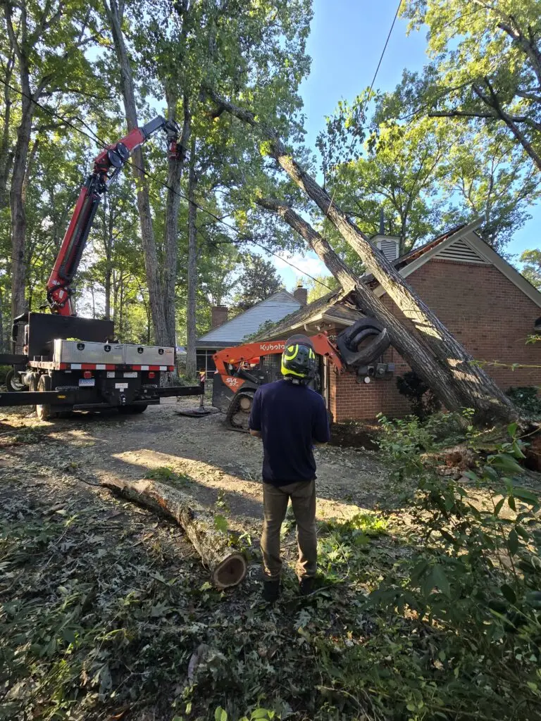 Trout Brook Arborist - Landscaping & Tree Services The Best Tree Services in West Hartford CT - Certified Arborists & Landscaping