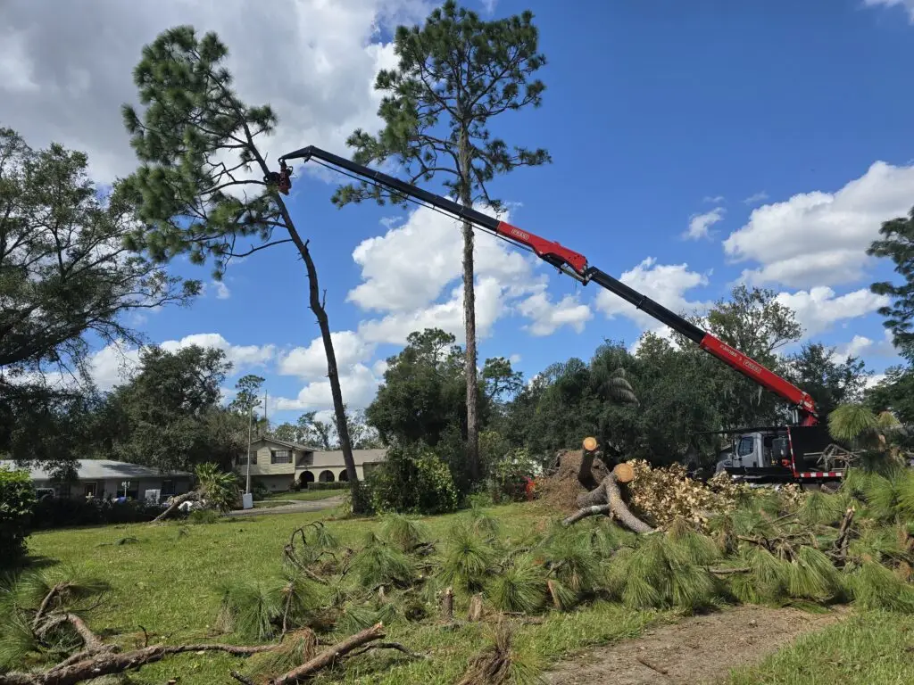 Trout Brook Arborist - Landscaping & Tree Services The Best Tree Services in West Hartford CT - Certified Arborists & Landscaping