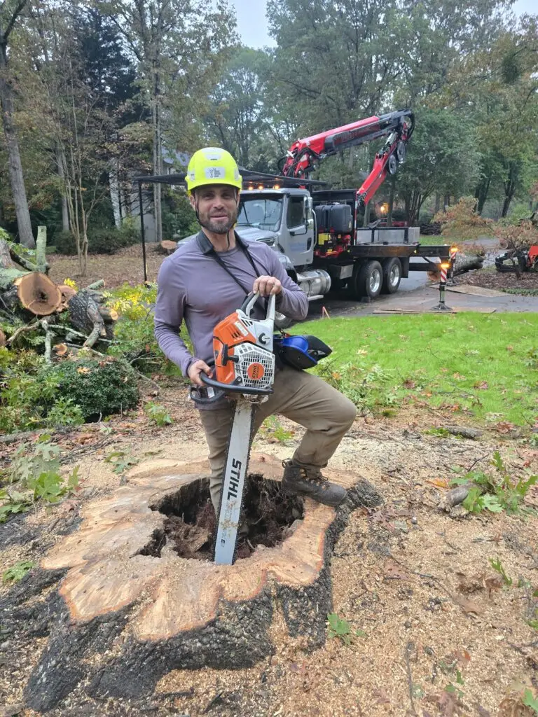 Trout Brook Arborist - Landscaping & Tree Services The Best Tree Services in West Hartford CT - Certified Arborists & Landscaping