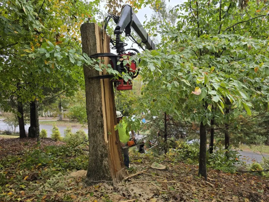 Trout Brook Arborist - Landscaping & Tree Services The Best Tree Services in West Hartford CT - Certified Arborists & Landscaping