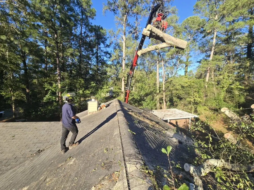 Trout Brook Arborist - Landscaping & Tree Services The Best Tree Services in West Hartford CT - Certified Arborists & Landscaping